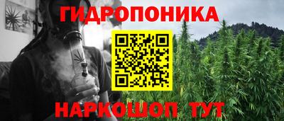 соль ск Брянск